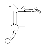 image n°1 du rêve 163